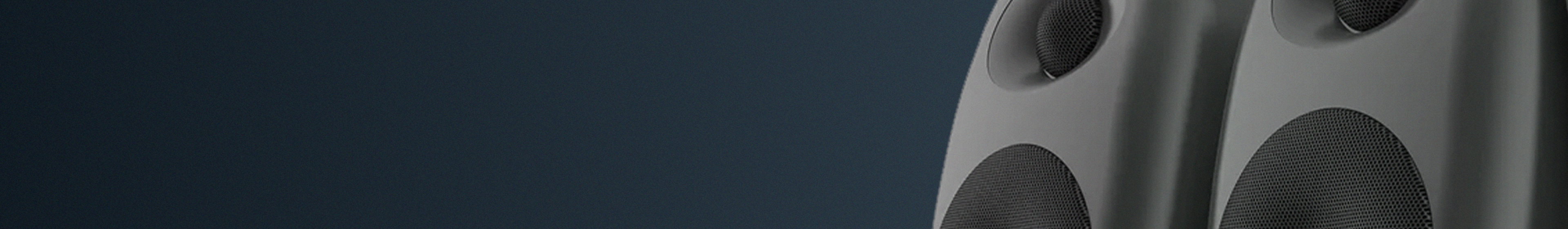 Speaker Background